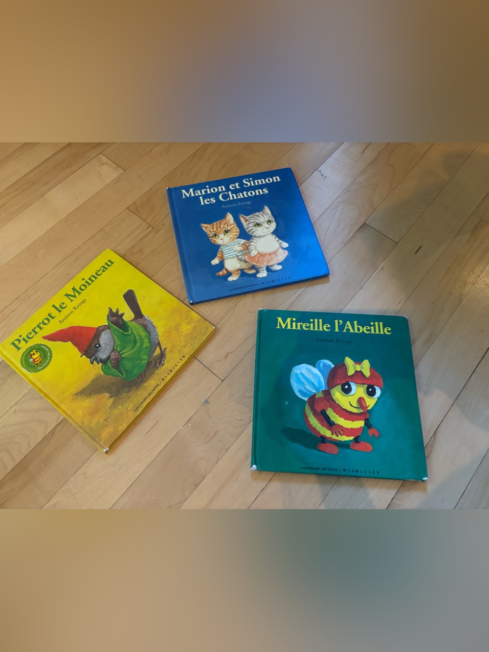 Children's French Storybooks
